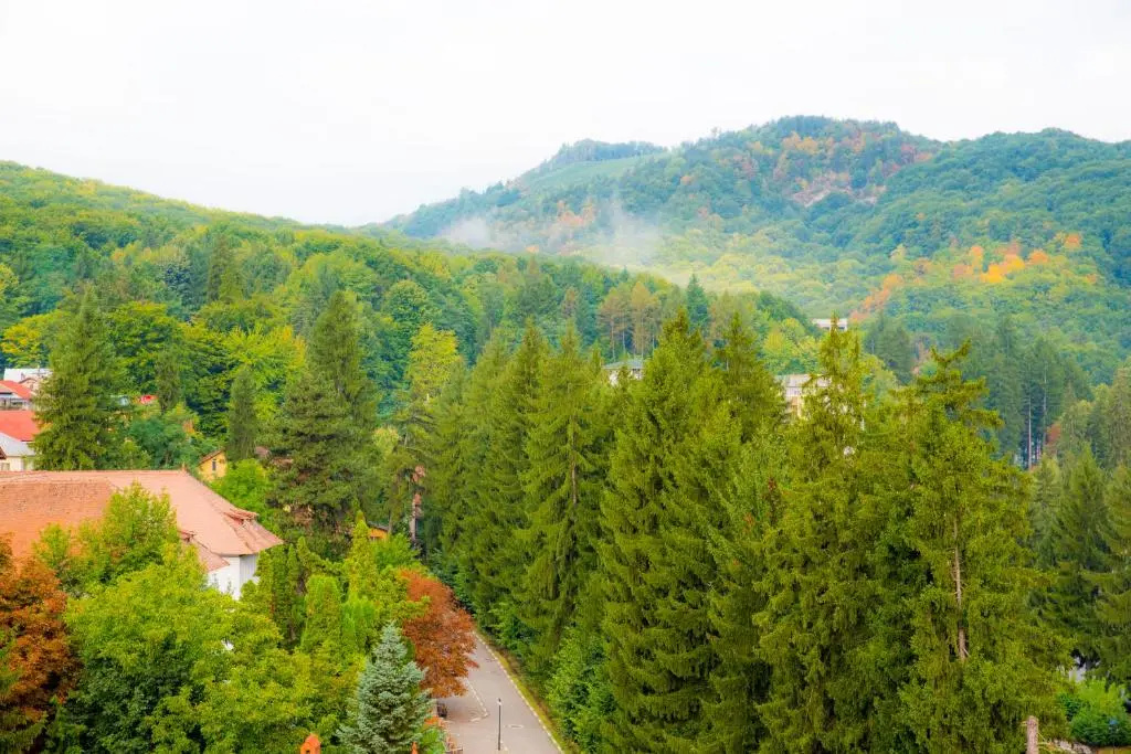Hotel Olanesti - Chambres