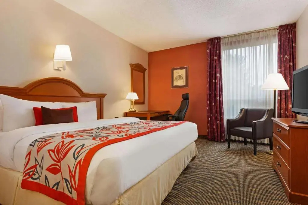 Business Double room with view (full double bed)