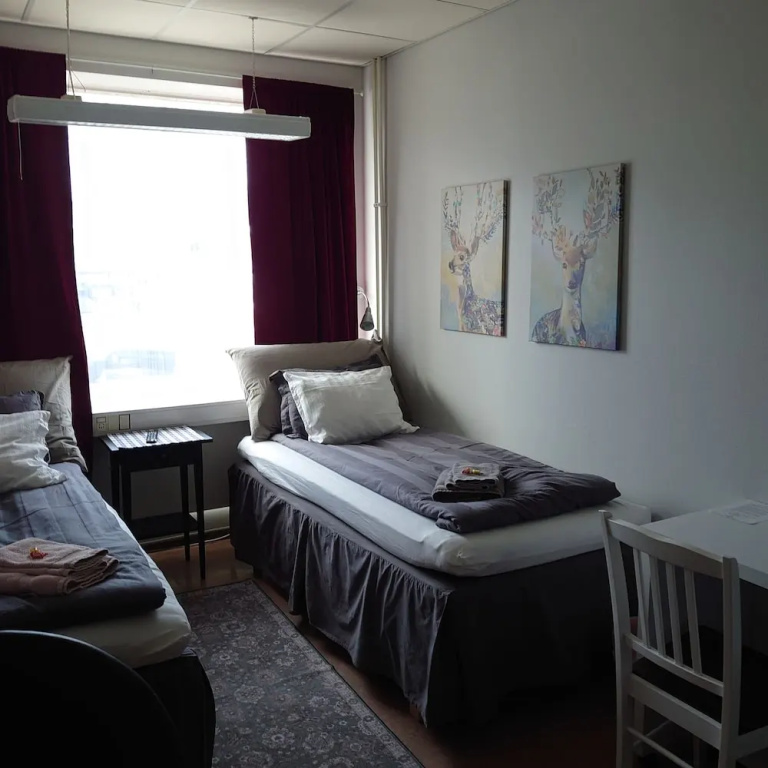 Economy Double room (twin beds)