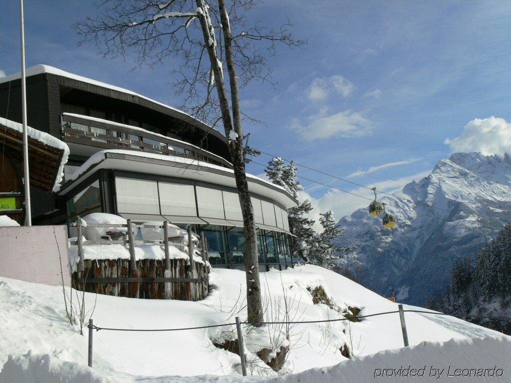 Image 4