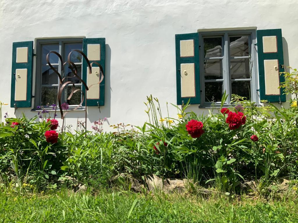 Image 10