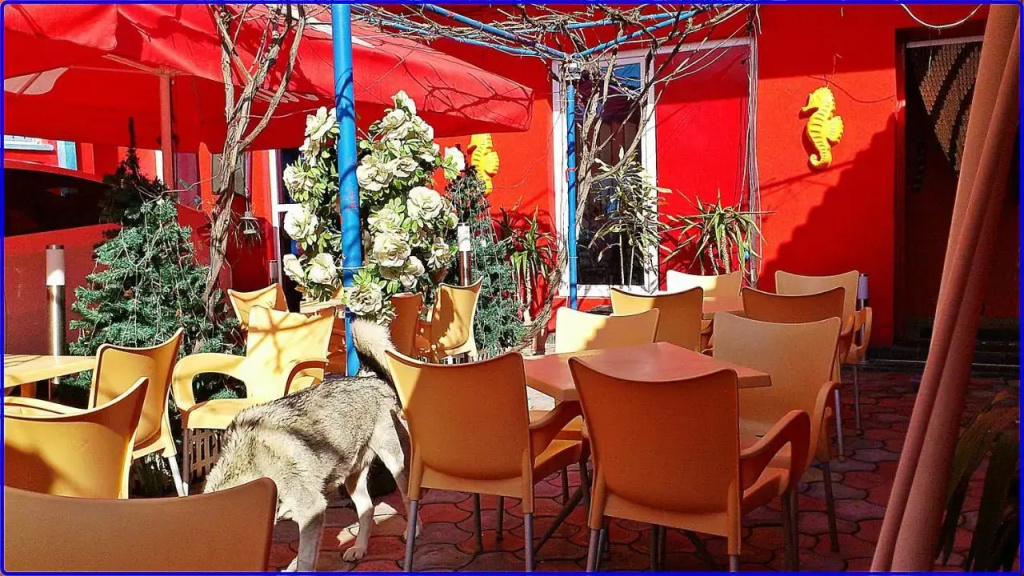 Hotel photo 24