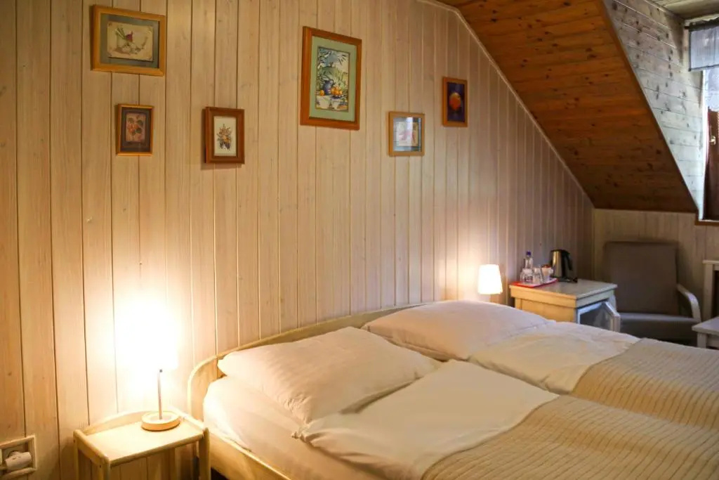 Standard Double room (full double bed)