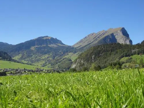 Haus Alpina - Général