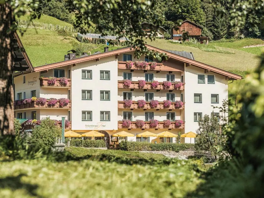 Hotel Finkenbergerhof - Général