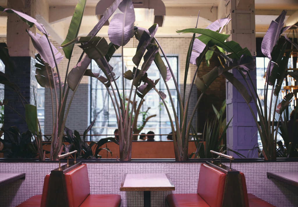 Hotel photo 41