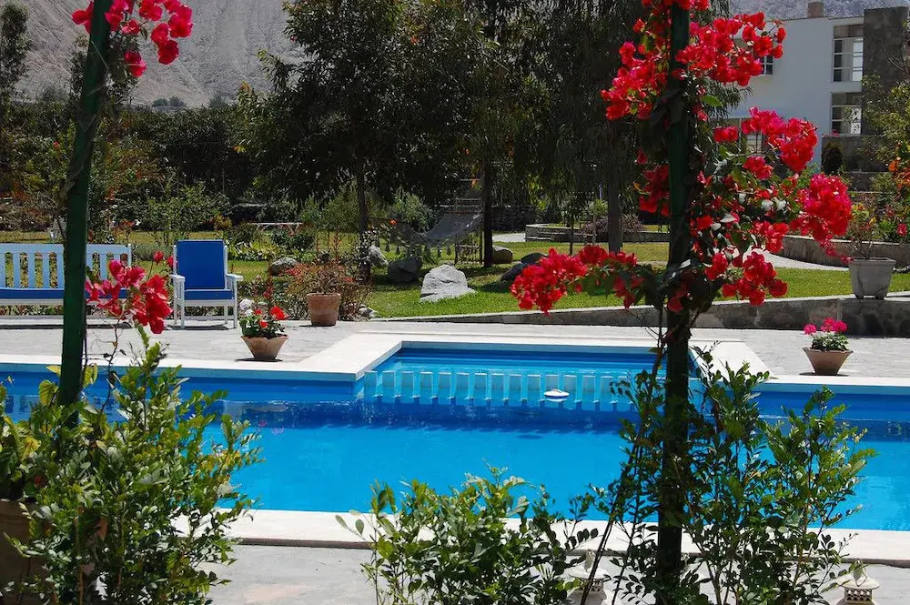 Hotel Los Palomos - Général