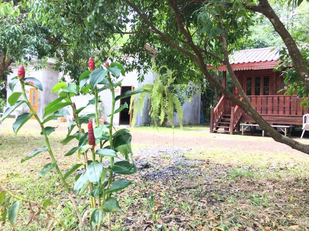 Standard Double room with garden view (full double bed)