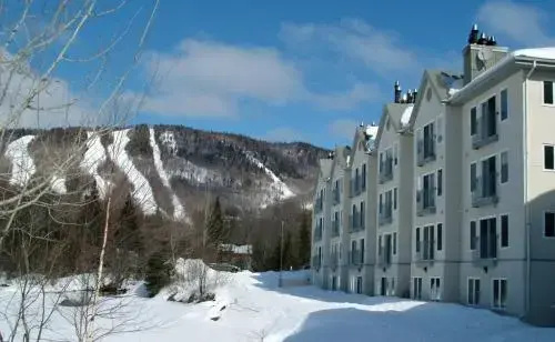 Chalet 620 Chemin du Hibou #006