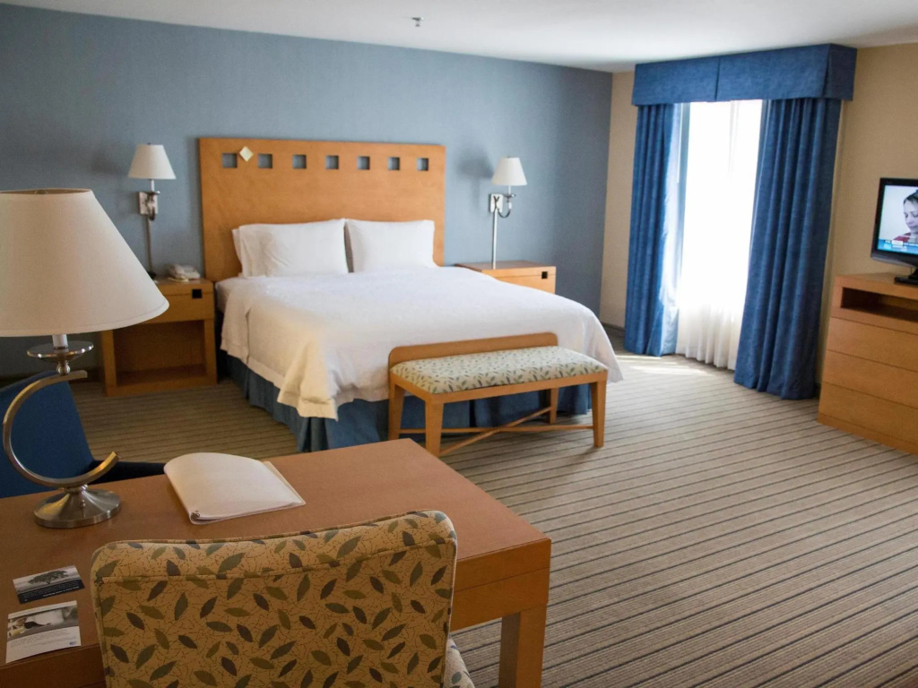 Double Suite (full double bed)