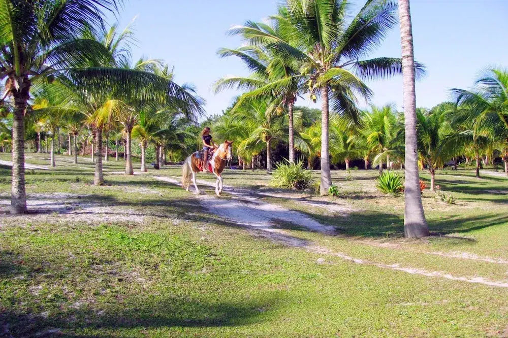 Fazenda Amendoeira. - Général