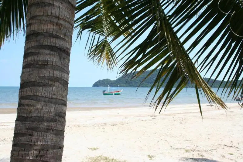 Beach & Waterfront