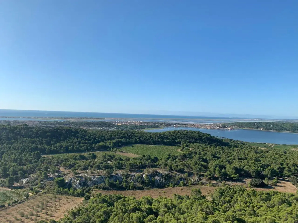 Gruissan Pleine Vue Sur Port