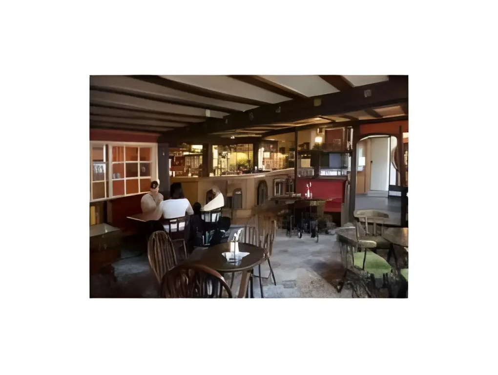 The Swan Hotel - Général