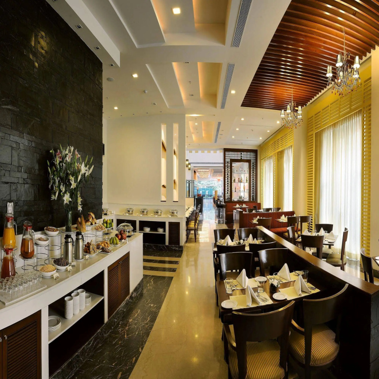 Park Inn, Gurgaon - Général