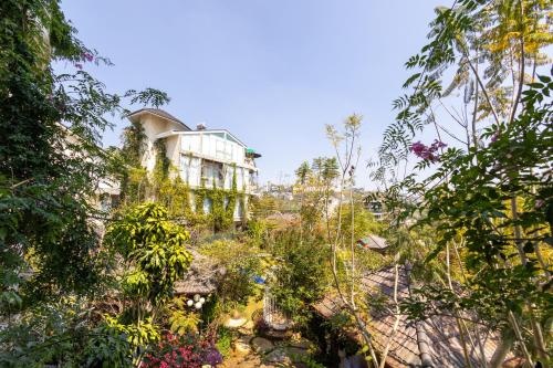 Mac Valley Dalat Hotel