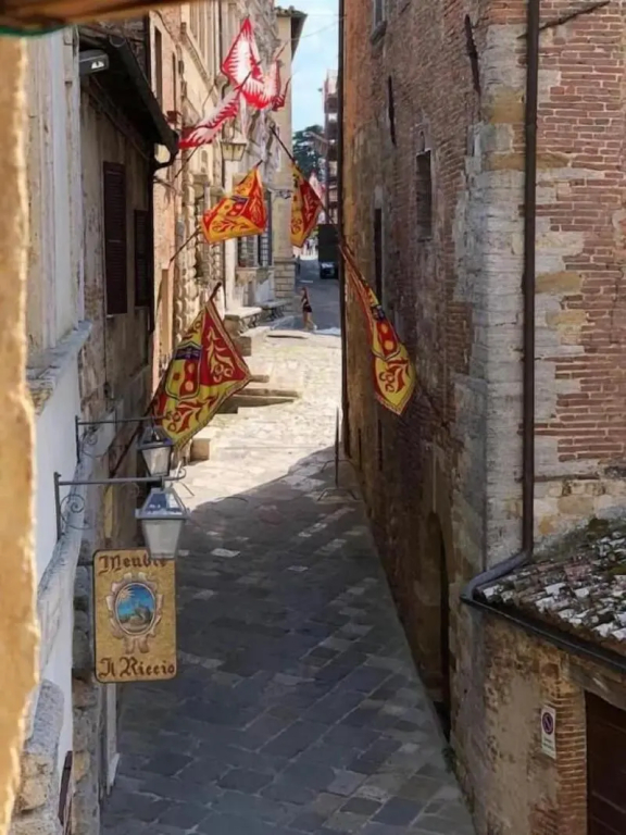 Meublé Il Riccio by null