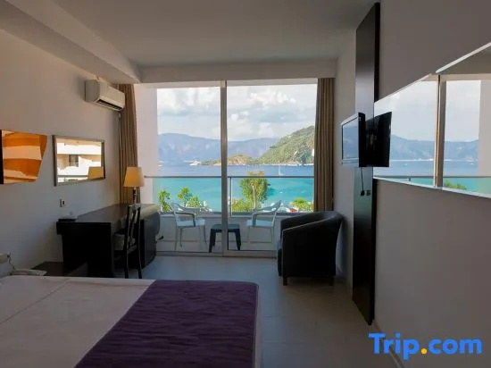 Standard Single room with land view
