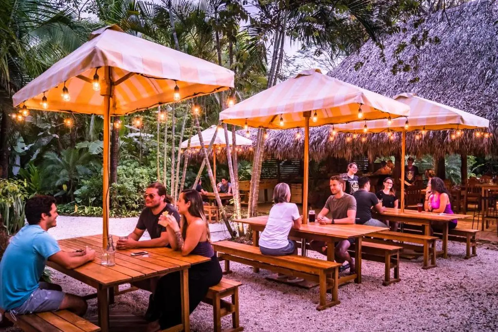The Sunset Shack - Général