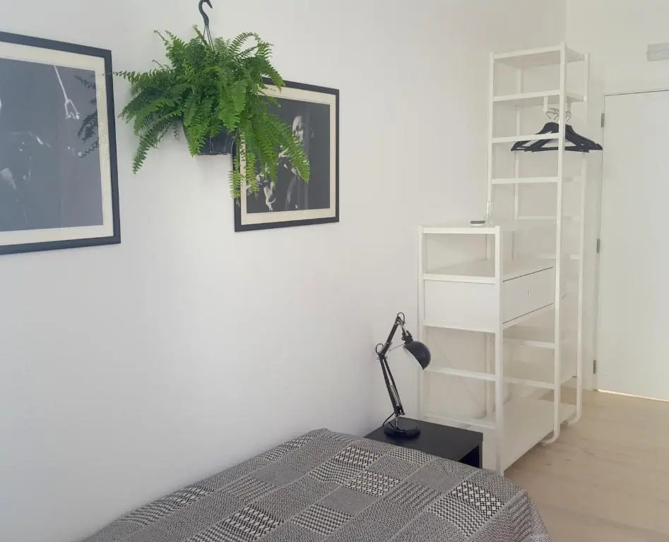 Economy Double room (twin beds)