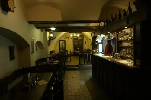 Hotel U Zlateho Andela - Général
