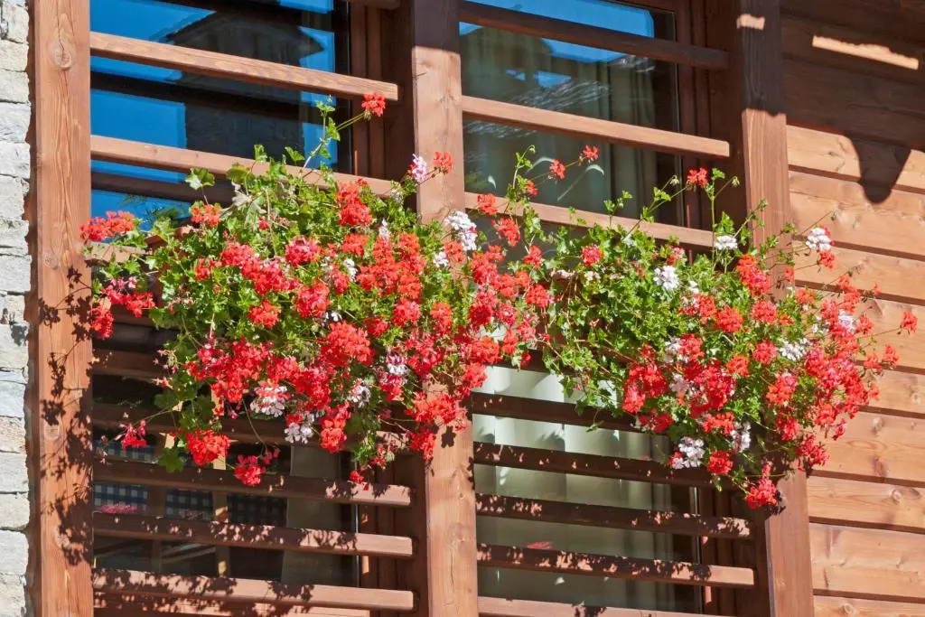 Pietre Gemelle Resort - Chambres
