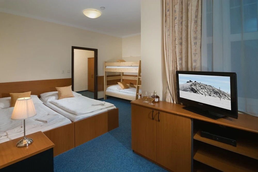 Hotel Domovina - Chambres