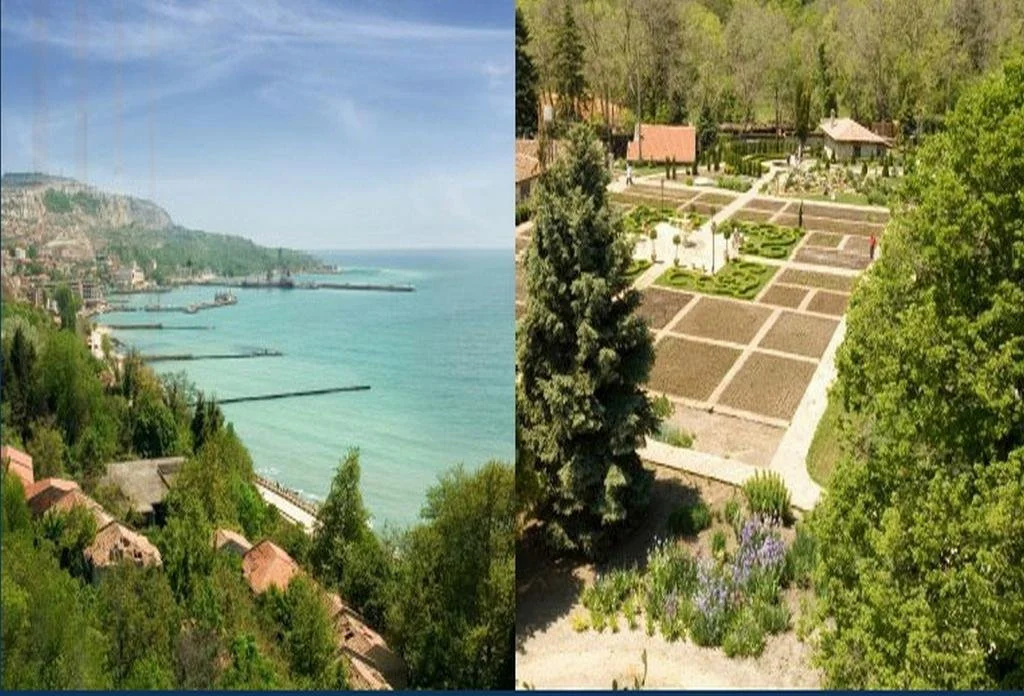 Beach & Waterfront