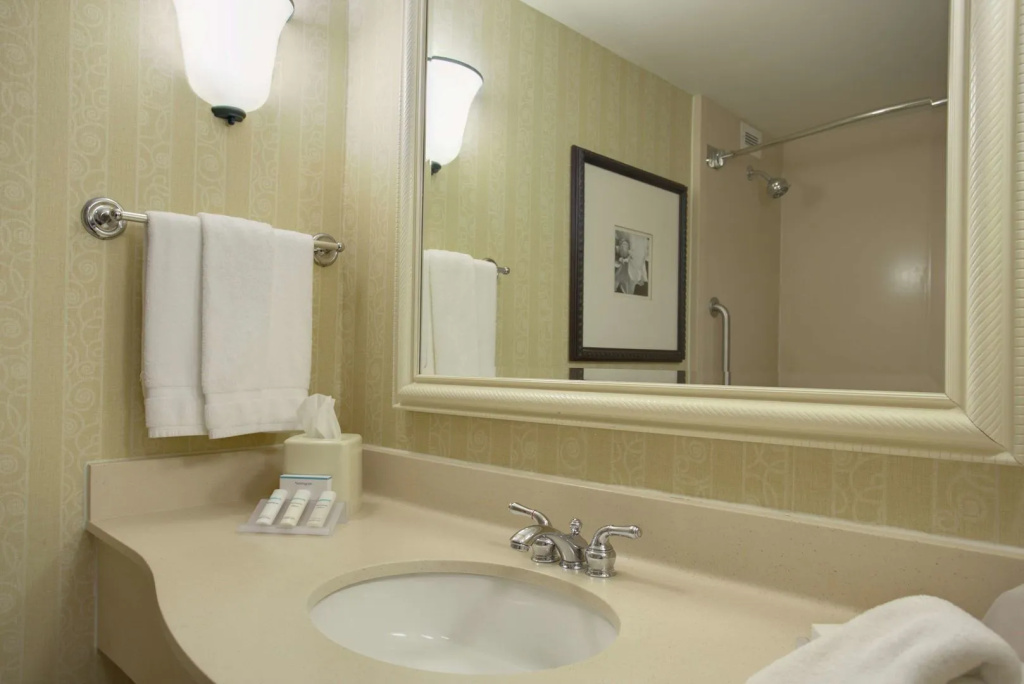 Hilton Garden Inn San Francisco Arpt North - Général