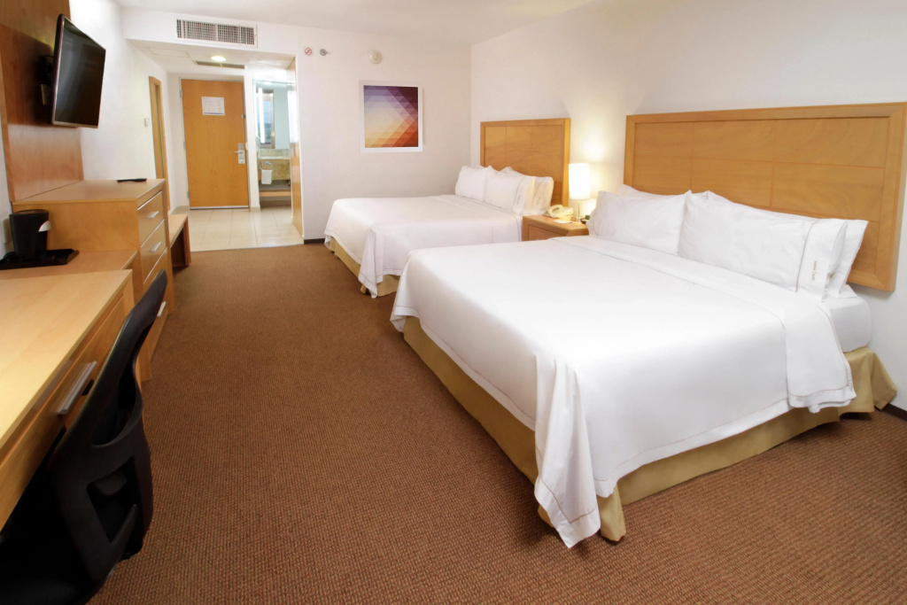 Holiday Inn Express & Suites Irapuato - Général
