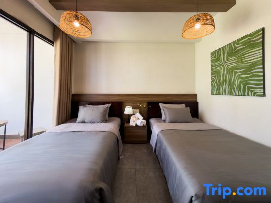 Superior Double room with garden view (twin beds)