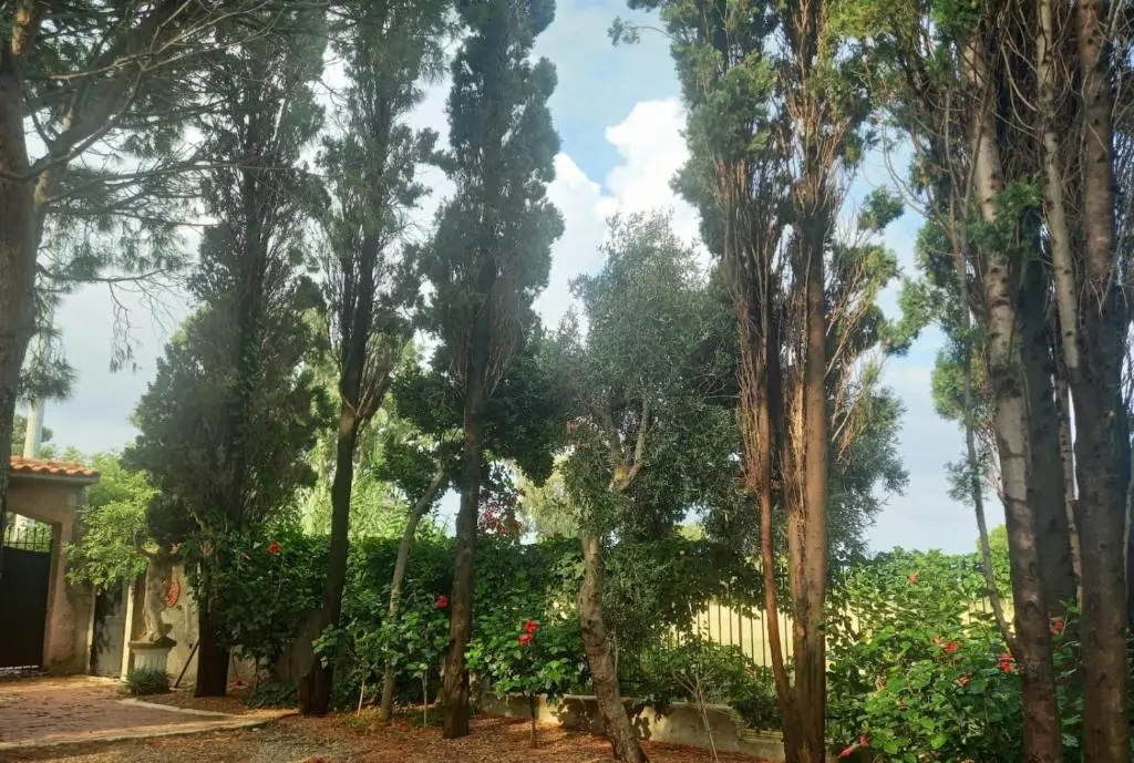 Hotel photo 28