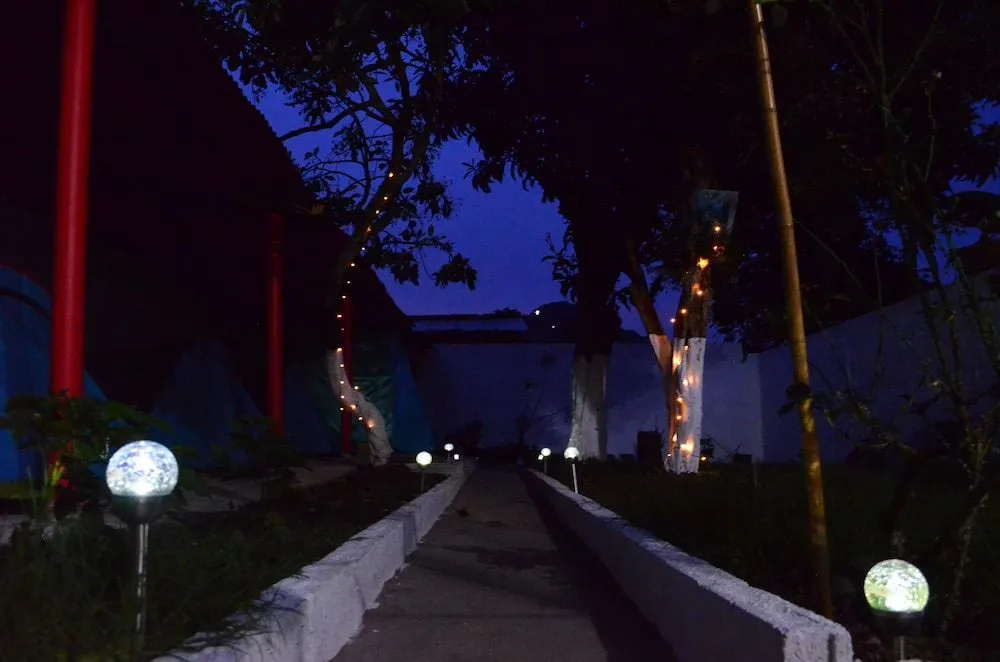 Magic Jardín