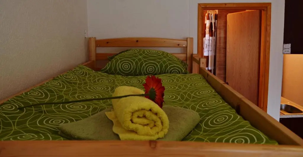 Apartment Lotika - фото 4