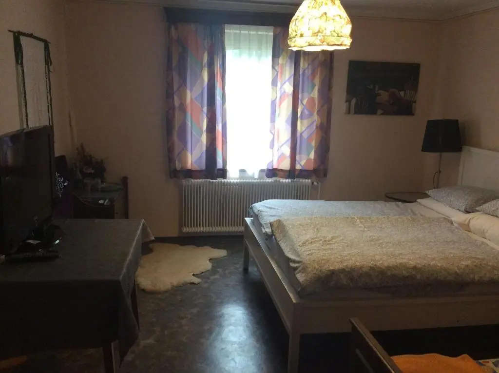Standard Double room with mountain view (full double bed)