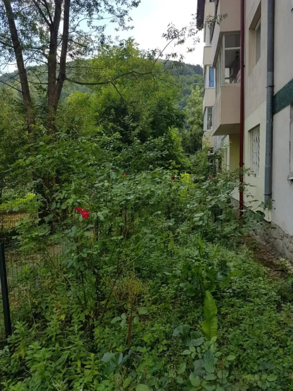 Premium Apartment Sinaia