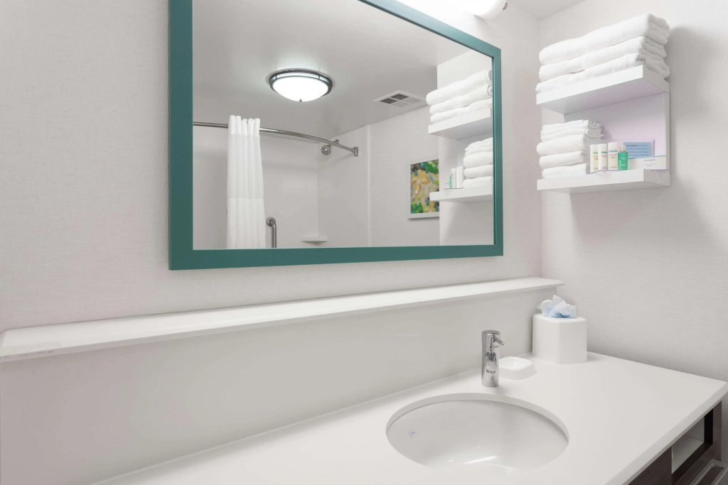 Hampton Inn Orlando International Drive/Convention Center - Général
