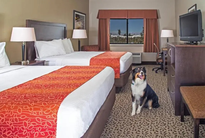 Gray Wolf Inn & Suites - Chambres
