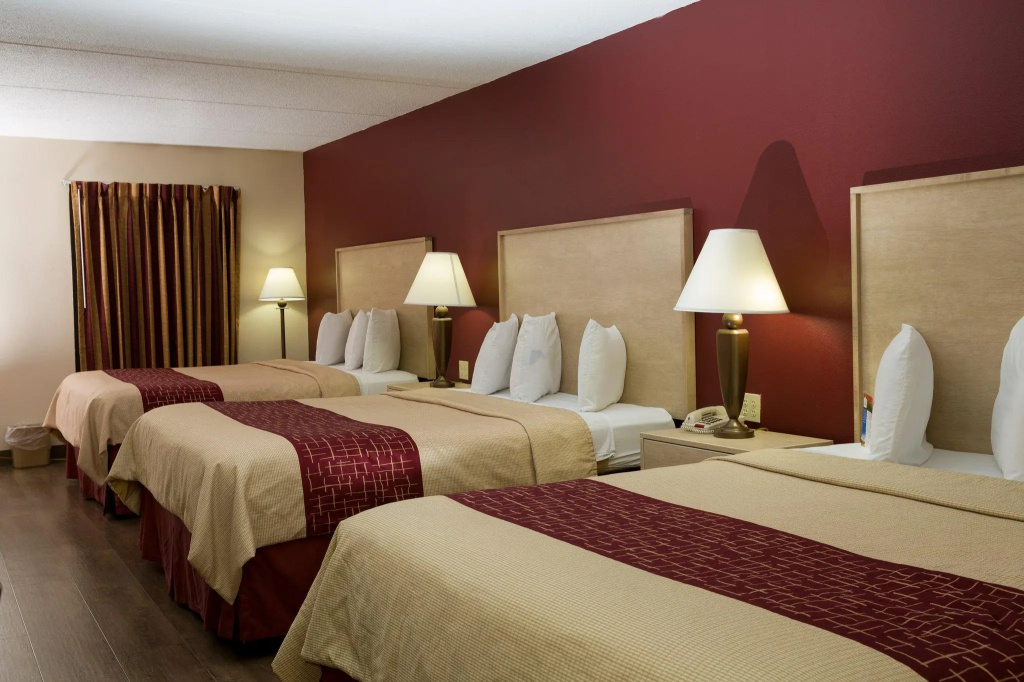 Deluxe Sextuple room
