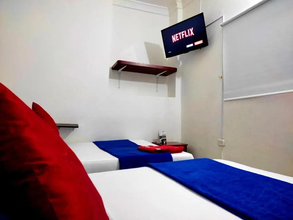 Standard Double room (twin beds)