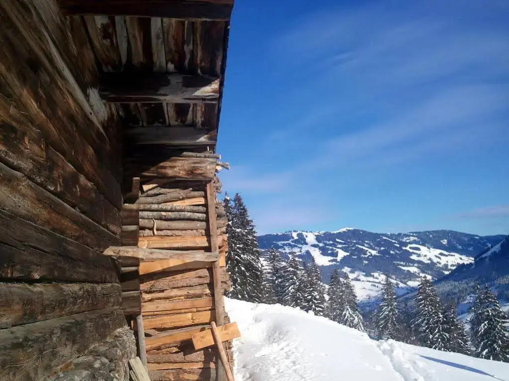Ski & Bike Hotel Wiesenegg - Général