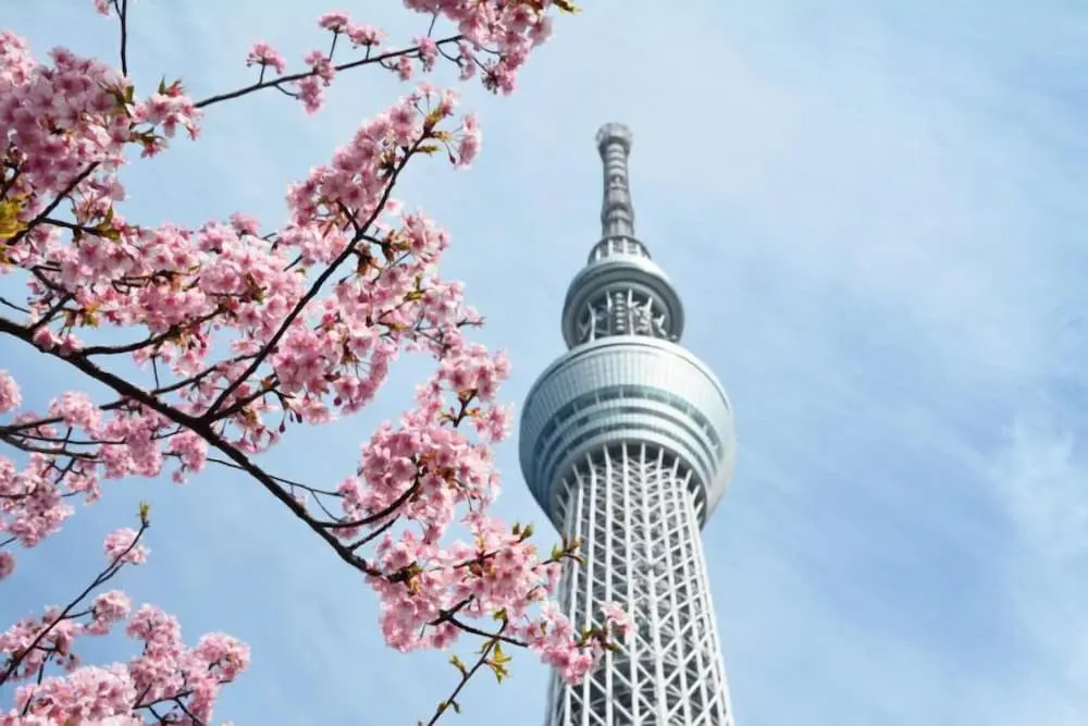 Hotel STAY&GO Iriyakita 사진 19