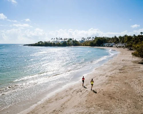 Beach & Waterfront