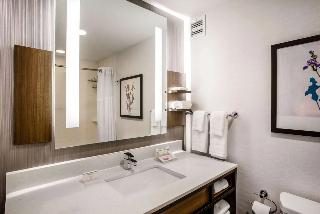 Hilton Garden Inn Nashville/Smyrna - Chambres