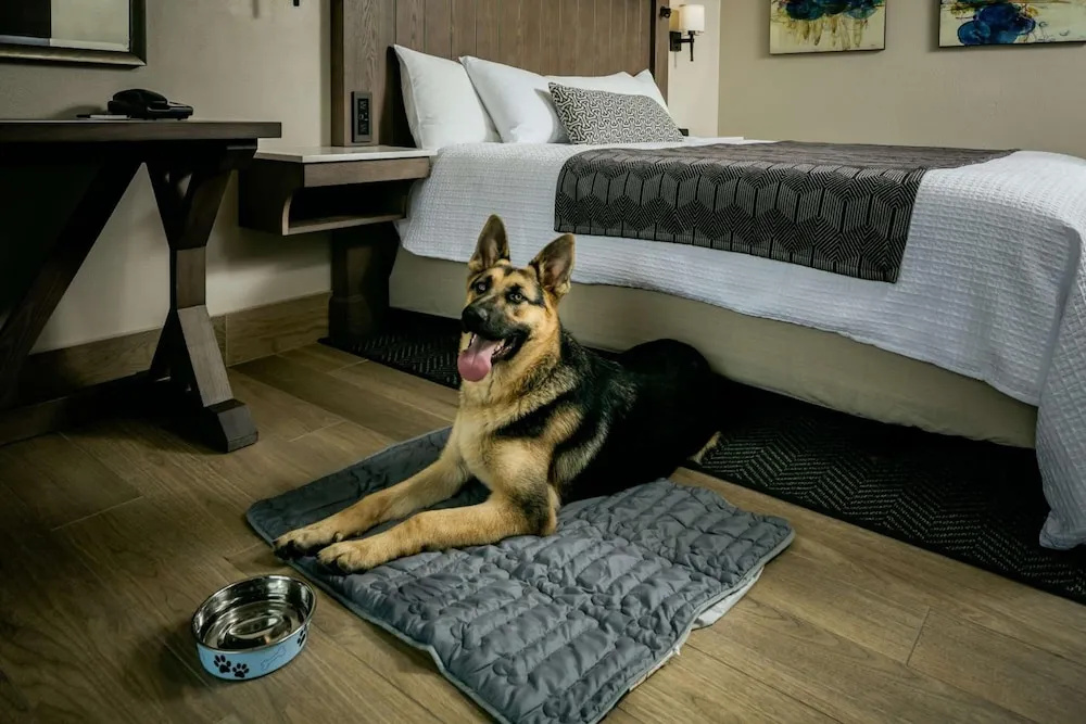 Deluxe Double room oceanfront (full double bed)