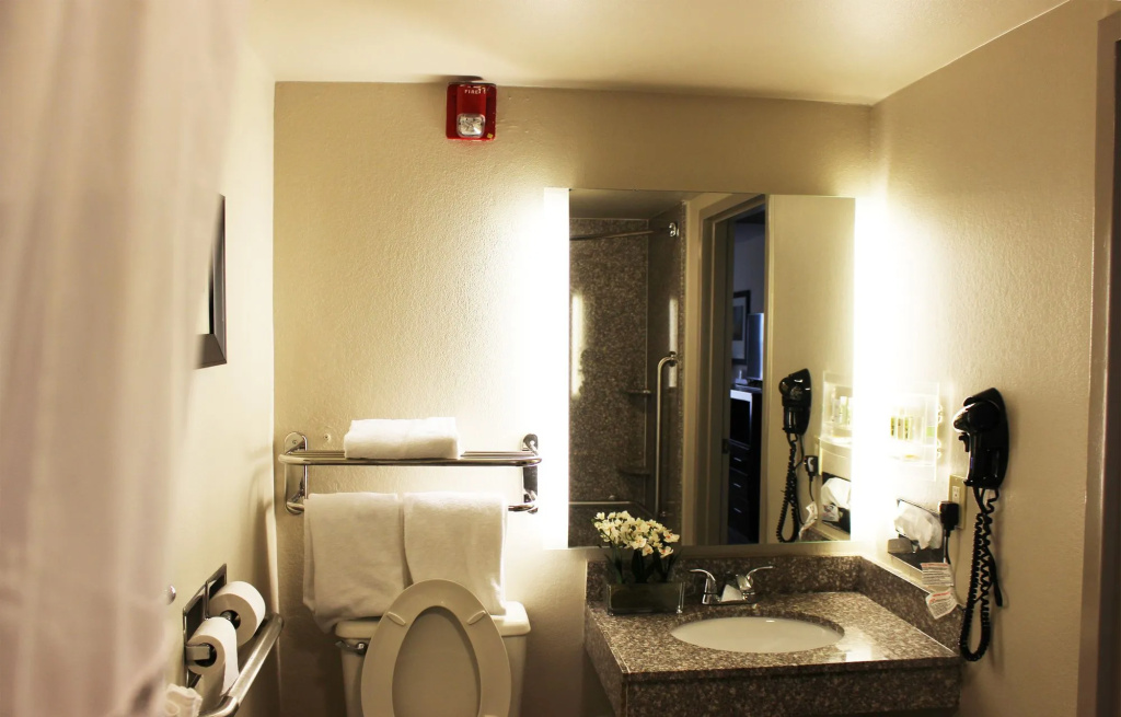 Holiday Inn Atlanta-Northlake by IHG - Général