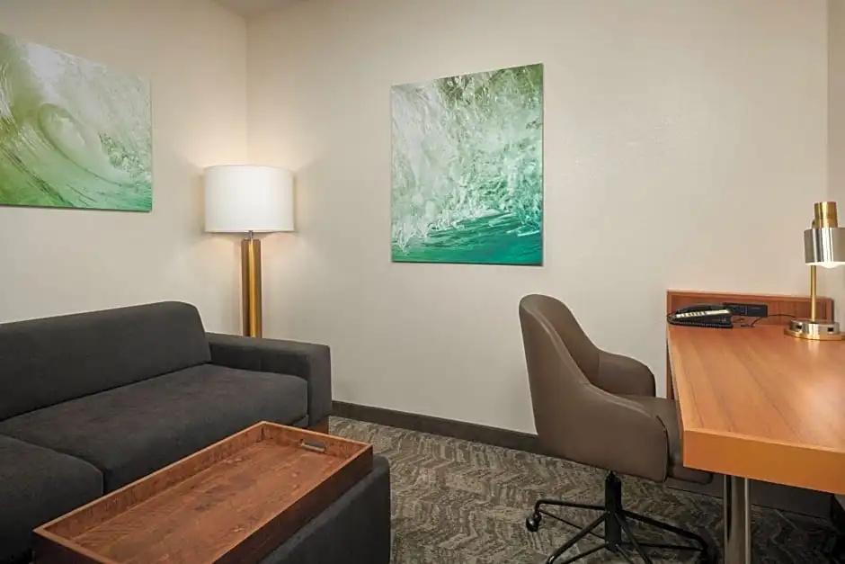 SpringHill Suites by Marriott Baton Rouge North/Airport - Chambres