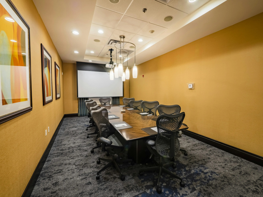 Hilton Garden Inn Atlanta South/McDonough - Général