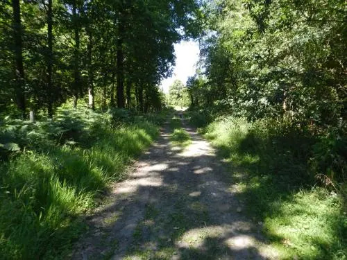 B&B Le Bois de Champia - 3