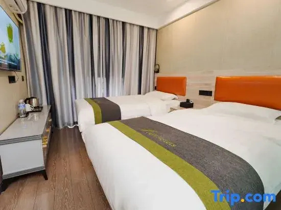 Standard Double room (twin beds)
